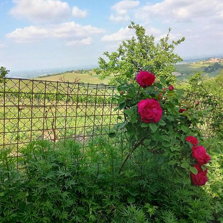 Morelli House Hostal Montalbo Exterior foto